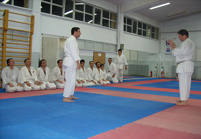 Karate semineri